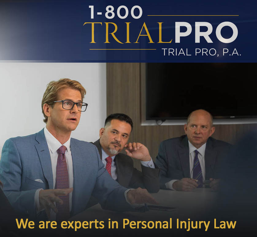 Trial Lawyers and Litigators